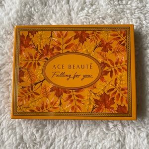 New Ace Beautē Falling For You Palette